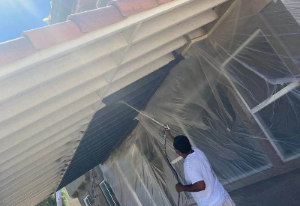 painting contractor Fort Myers before and after photo 1762279439473_Gallery10